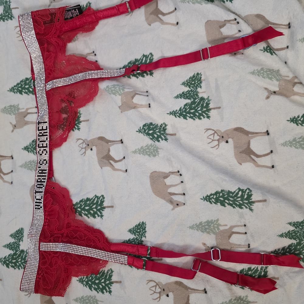 Victoria's Secret Red Lace Garter Belt